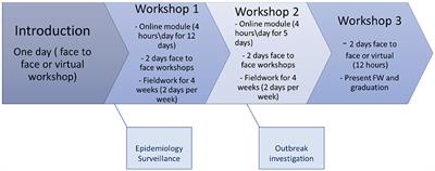 Evaluation of the blended public health empowerment program-basic field epidemiology in the Eastern Mediterranean Region